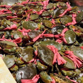 cua-thit-chac-khoe-nha-hang-bao-boi1