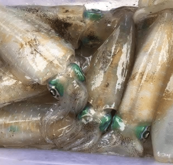 Lựa chọn mục tươi ngon