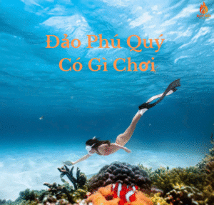 Đảo Phú Quý có gì chơi