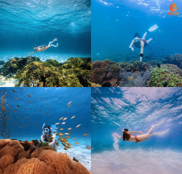 Hòn tranh Phú Quý