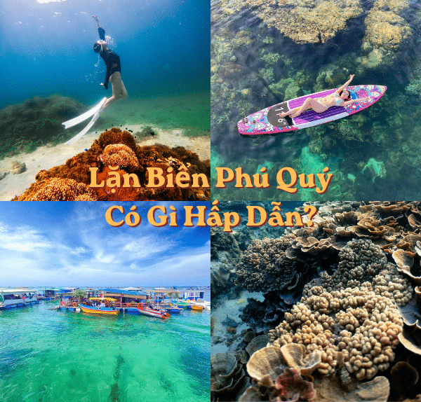 Biển Phú Quý có gì hấp dẫn
