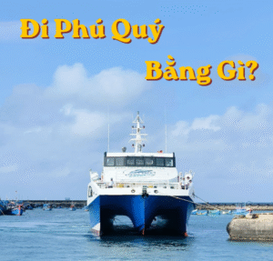 Đi Phú Quý bằng gì