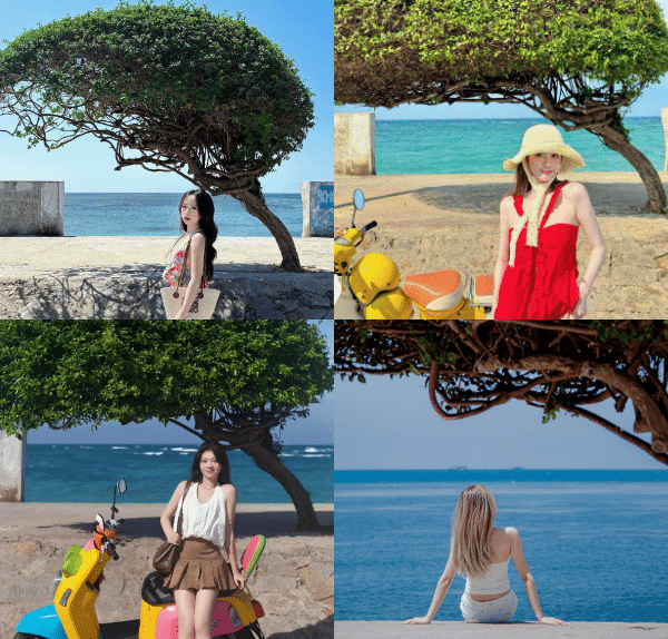 Kinh nghiệp check in cây cô đơn