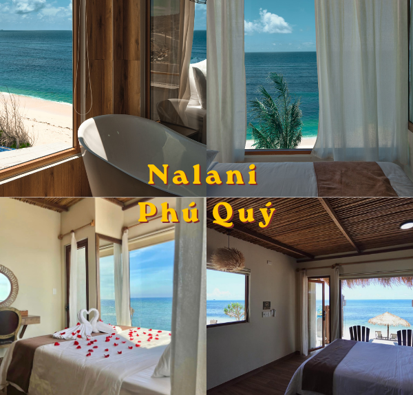 Tổng quan về Nalani Phú Quý